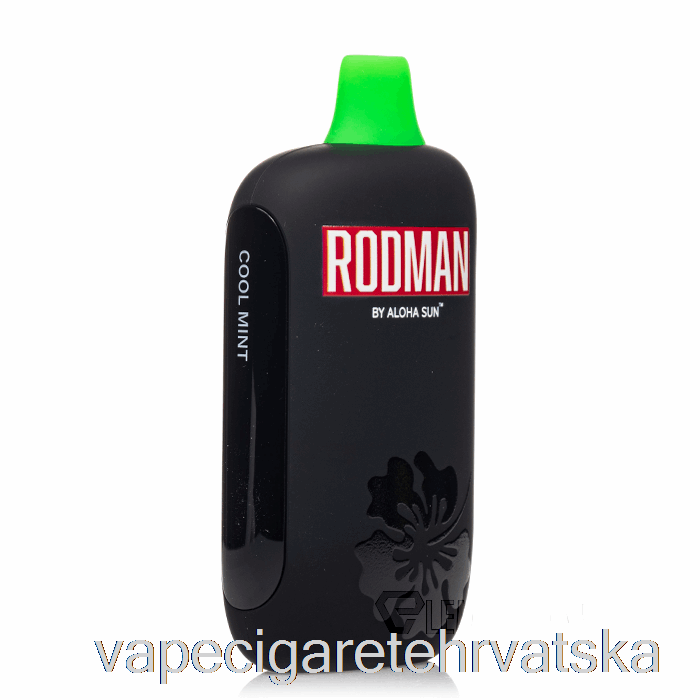 Vape Hrvatska Rodman 9100 Disposable Cool Mint